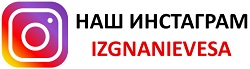 Наш инстаграм